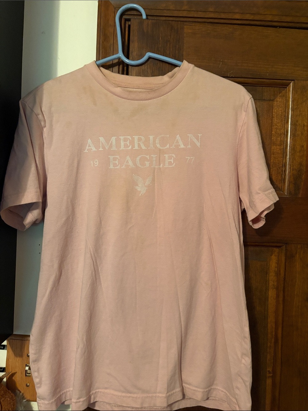 American Eagle Outfitters Light Pink Logo Crew T-Shirt